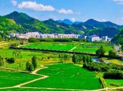 中共中央 国务院关于全面推进乡村振兴加快农业农村现代化的意见